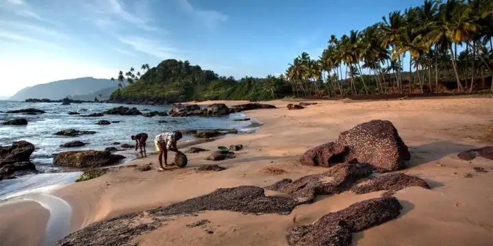 Scenic Cola Beach near Orchid Passaros resort in South Goa India