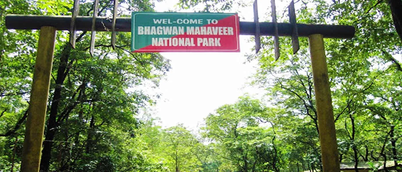 Bhagwan Mahaveer Wildlife Sanctuary near hotels in South Goa India for nature lovers and wildlife experiences
