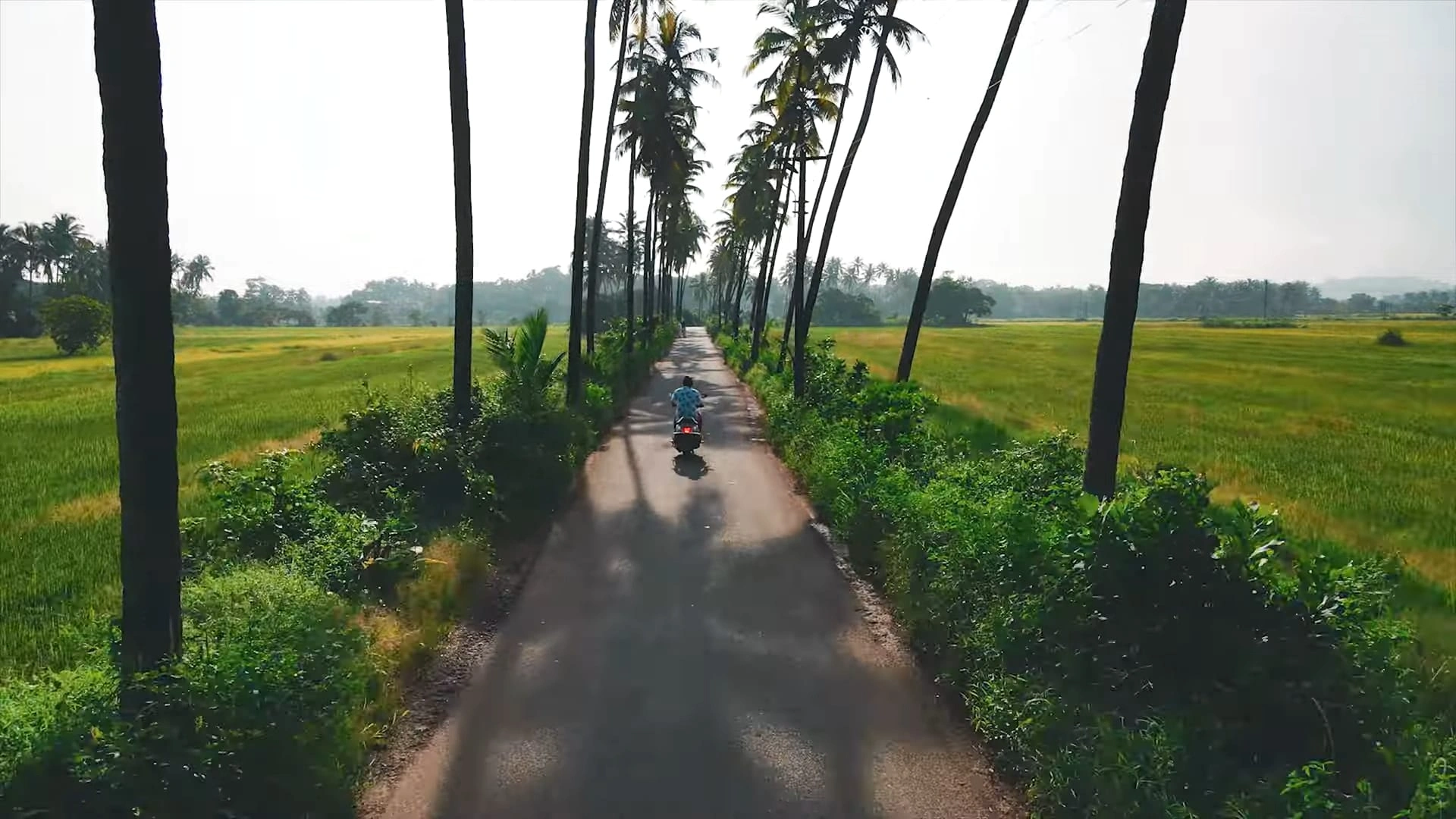 Scenic road drive near beach resorts in Goa for travel experience