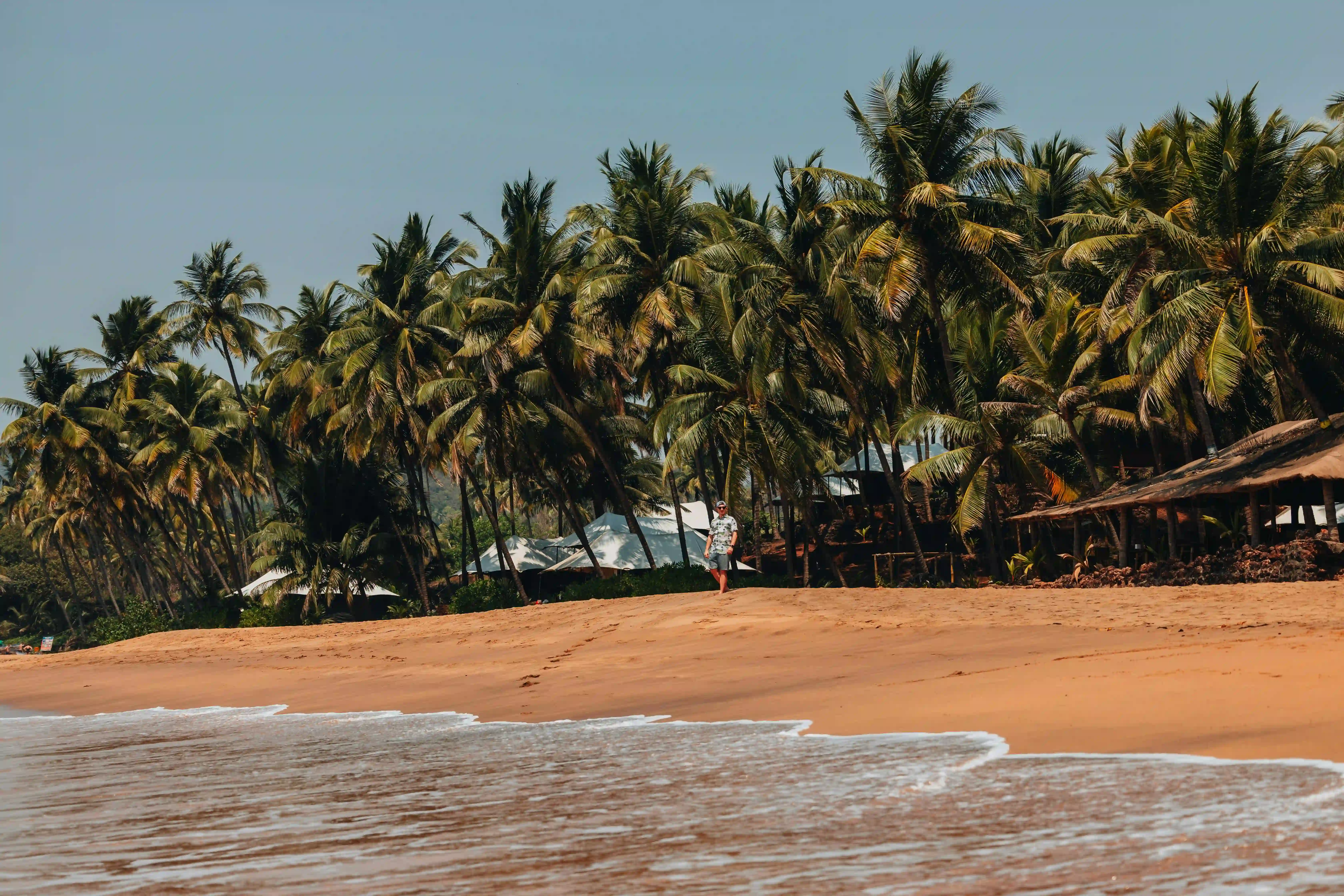 Scenic view of Cavelossim Beach near luxury resort in Goa with white sand and palm trees