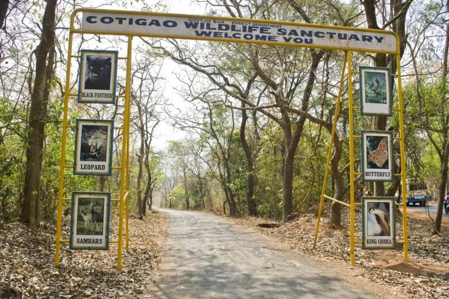 Cotigao Wildlife Sanctuary near serene beach resorts in Goa ideal for peaceful nature retreats