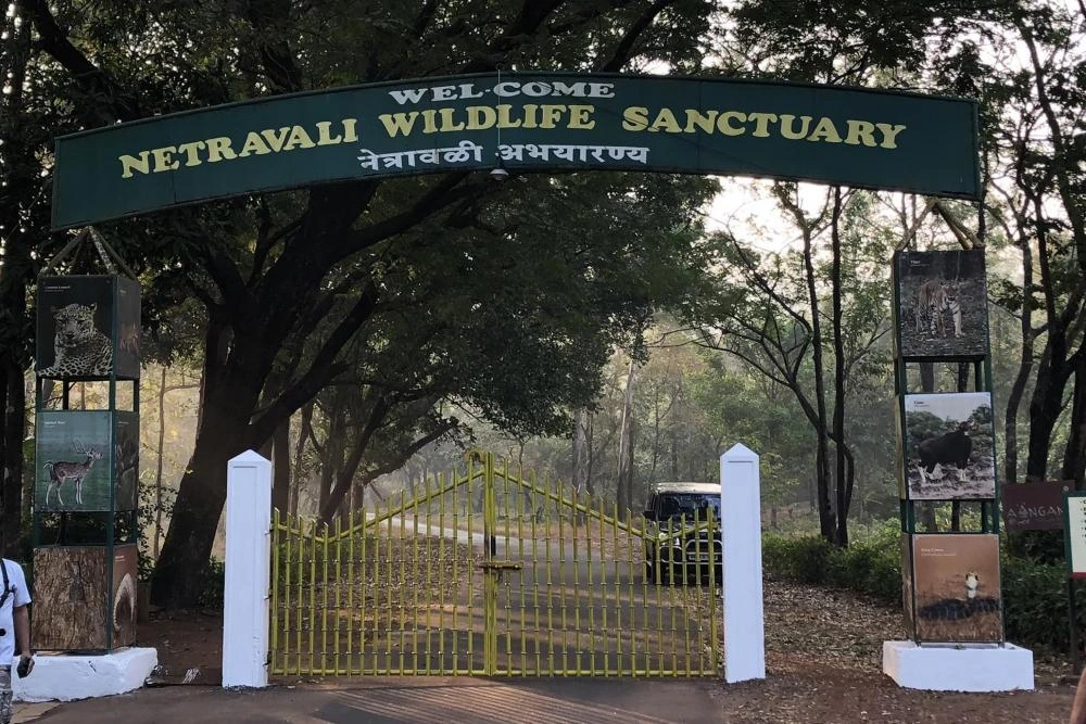 Netravali Wildlife Sanctuary near a resort in South Goa – scenic getaway for guests booking hotel rooms in Goa