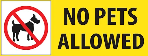 No pets allowed