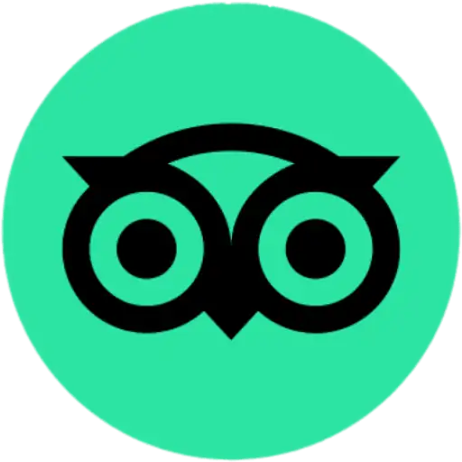Tripadvisor Rating